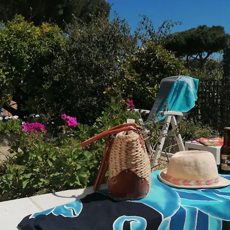 La Pointe De Sel - A 2 Minutes A Pied Holiday home Lumio (Corsica)