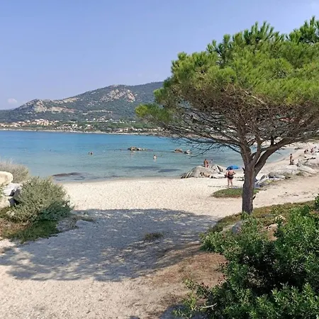 La Pointe De Sel - A 2 Minutes A Pied * Lumio (Corsica)