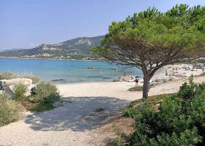 La Pointe De Sel - A 2 Minutes A Pied * Lumio (Corsica)